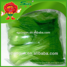 pakchoi cabbage frozen cabbage Fresh vegetable high grade products on sale